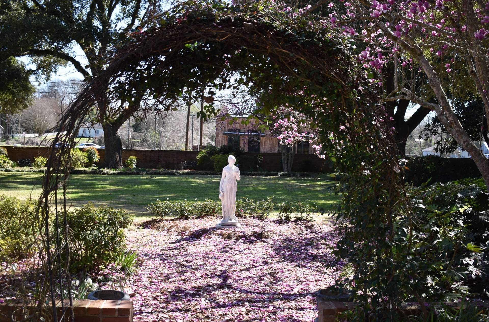 Female statue in garden through arch, magnolia petals on the ground